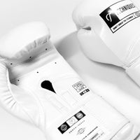 DST2 Boxing Gloves - Techniques