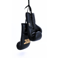 Professional TEC Lace - Up Boxing Gloves - Techniques